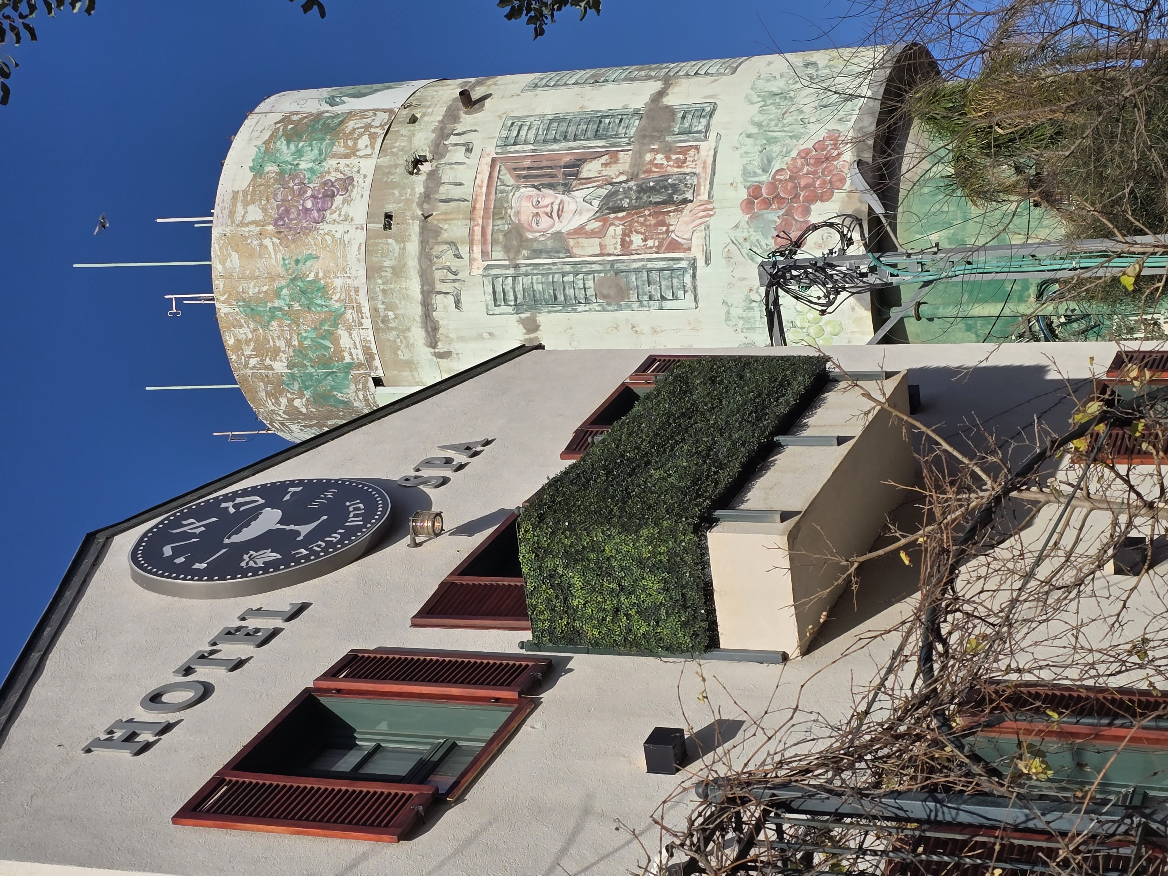 Halomot Zichron and Neve HaBaron — Buyer Notes