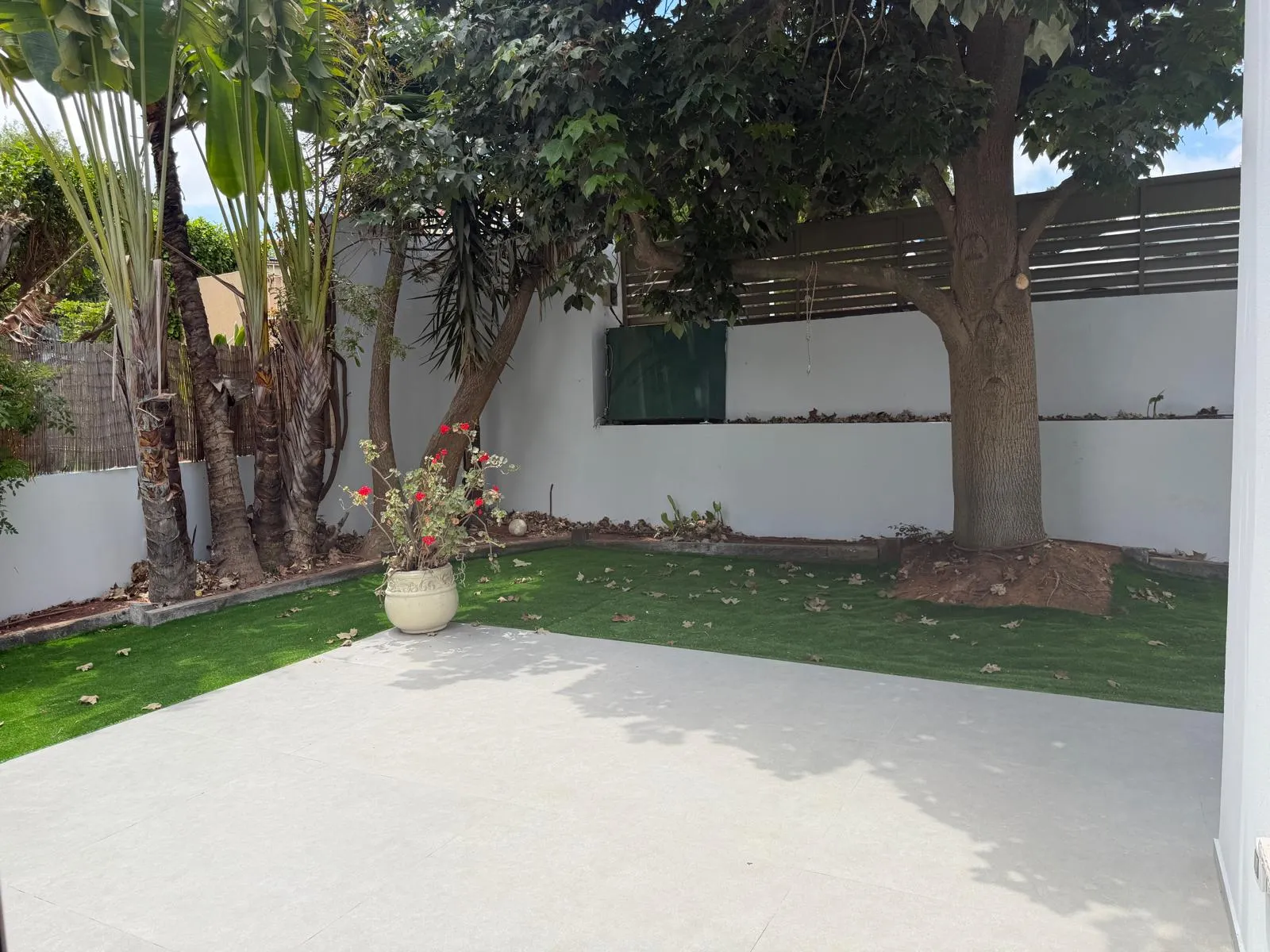 Renovated Home with Private Swim Spa in the Northern Moshava | 7 Rooms, Zichron Yaakov – photo 4